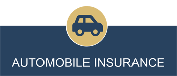automobile insurance florida georgia alabama
